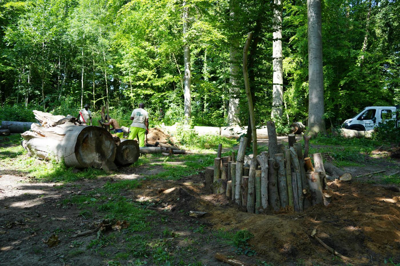 Aanleg broedhoop vliegend hert Jan van ruusbroecpark
