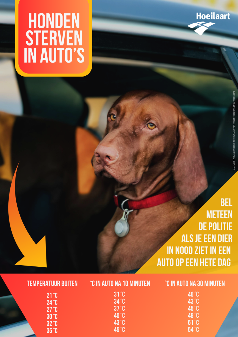 dieren hitte