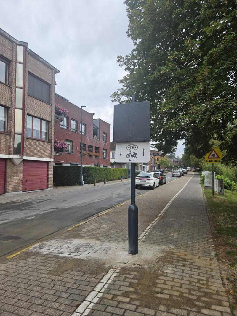 foto dynamisch verkeersbord