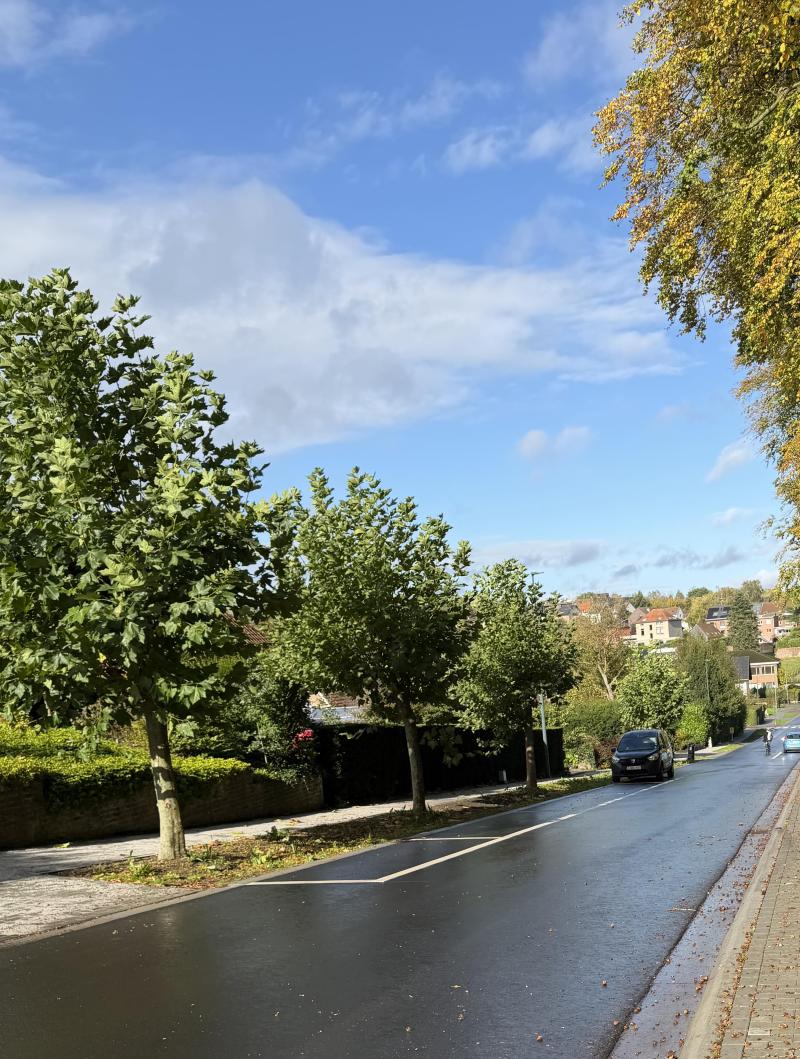 Baron de Man d'Attenrodestraat