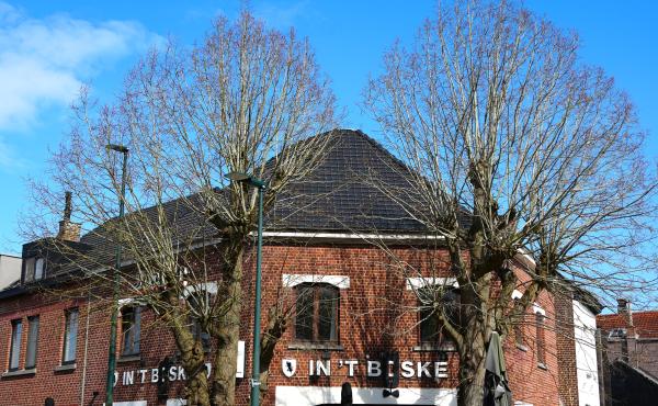 Lindebomen voor café 't Boske