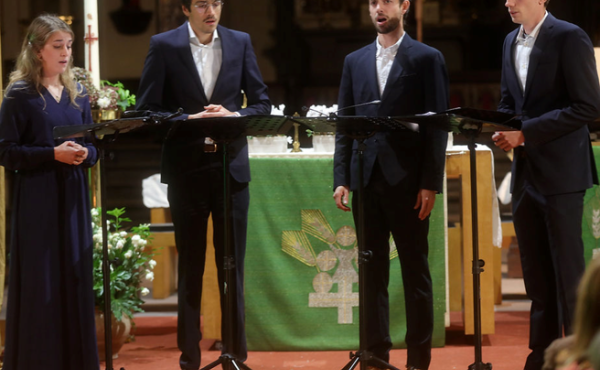 Druivenmis